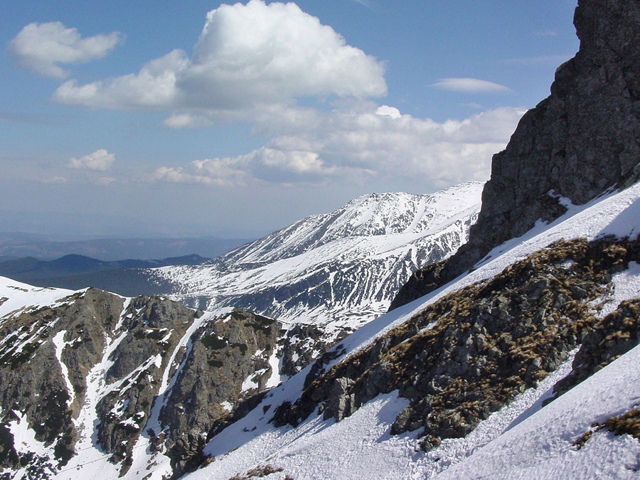 Результат пошуку зображень за запитом 