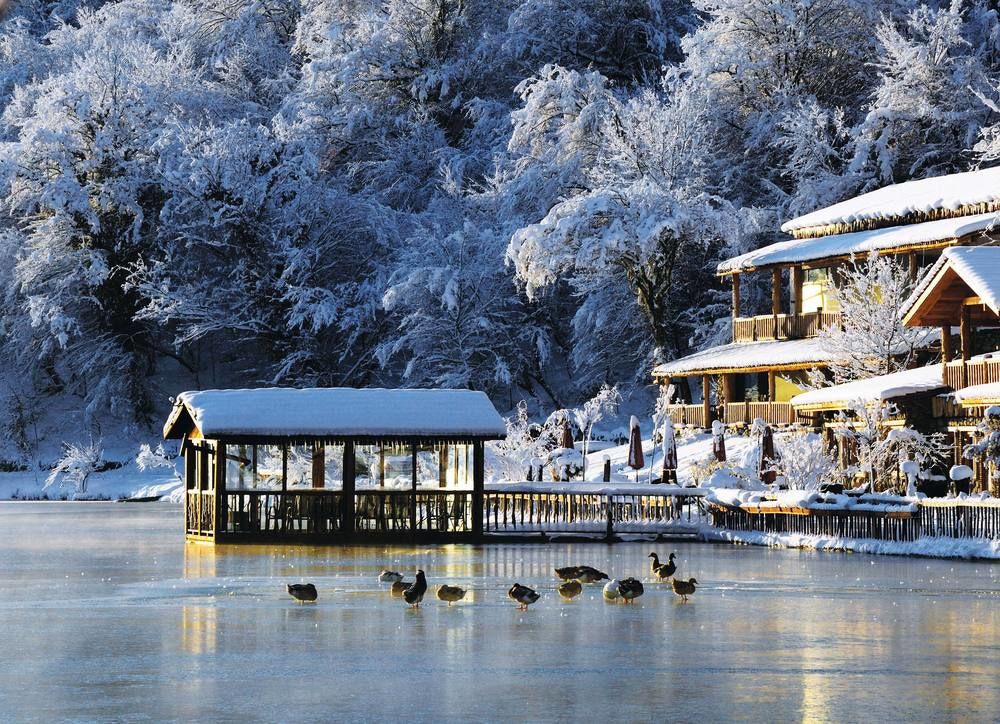 Lopota Lake Resort & Spa